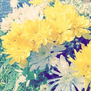 Meet your Posher, Maritza